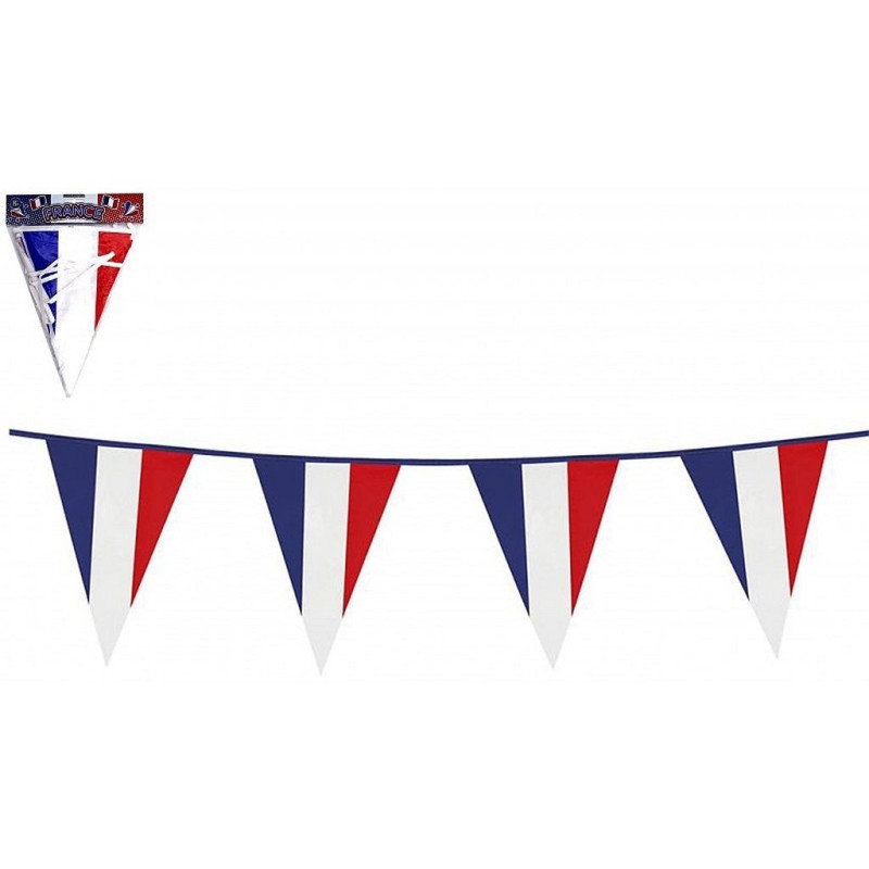 FRANCE BANNIERE 10 METRES 20*30 CM
