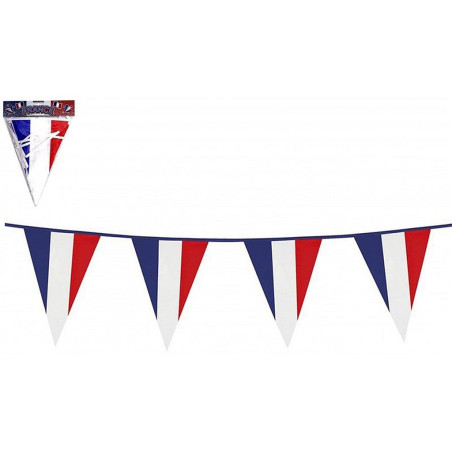 FRANCE BANNIERE 10 METRES 20*30 CM