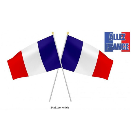 Drapeau France 14x21 cm pour professionnels : succès garanti !
