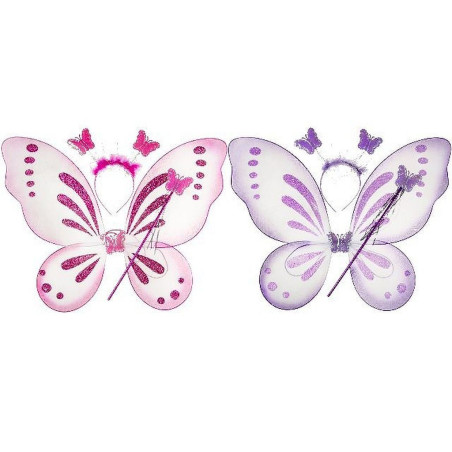 AILES DE FEE AVEC ACCESSOIRES - pour vos événements B2B !