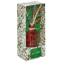 DIFFUSEUR DE PARFUM HOUX 100 ML
