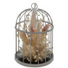 CAGE METAL AVEC FLEURS NATURELLES SECHES SIENA 20 CM