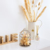 CAGE METAL AVEC FLEURS NATURELLES SECHES SIENA 20 CM