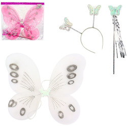 PANOPLIE DE PRINCESSE POUR PROFESSIONNELS - Succès garanti !