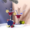 Coffret Cocktail 10 pièces Daiquiri - Succès garanti