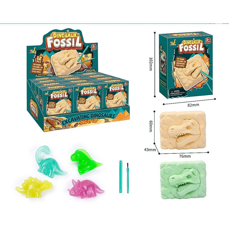 COFFRET FOSSIL DINOSAURE 10*8 CM