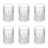 COFFRET DE 6 VERRES SHOOTER AUTOMNE 6 CL