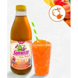 CLASSIC PECHE ABRICOT GRANITA 1 L PRET A L EMPLOI