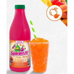 ULTRA CONCENTRE 1 L PECHE ABRICOT POUR GRANITA