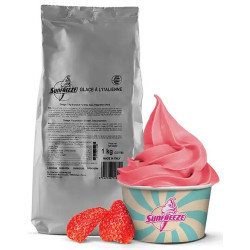 PREPARATION GLACE ITALIENNE FRAISE 1 KG