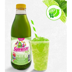 CLASSIC MOJITO GRANITA 1 L PRET A L EMPLOI