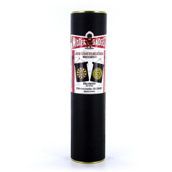 CIBLE MAGNETIQUE AVEC FLECHETTES AIMANTEES
