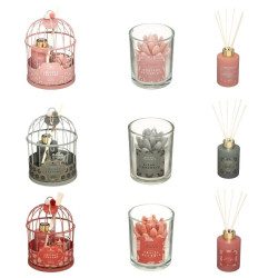 COFFRET CAGE LOLA WONDERLY