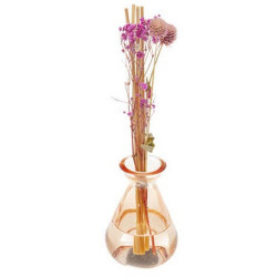 DIFFUSEUR PARFUM FLORA ROSE 100 ML