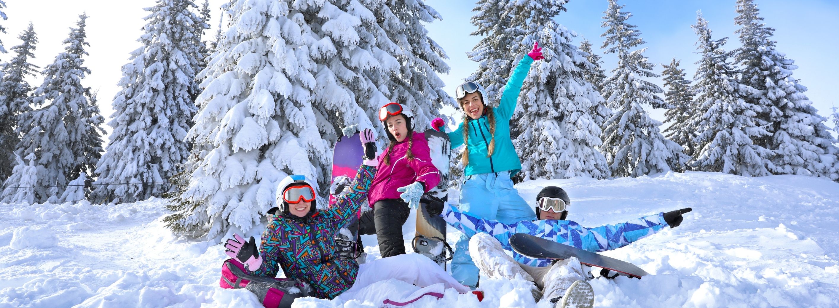 Fournisseur station de ski Fournisseur stations de ski